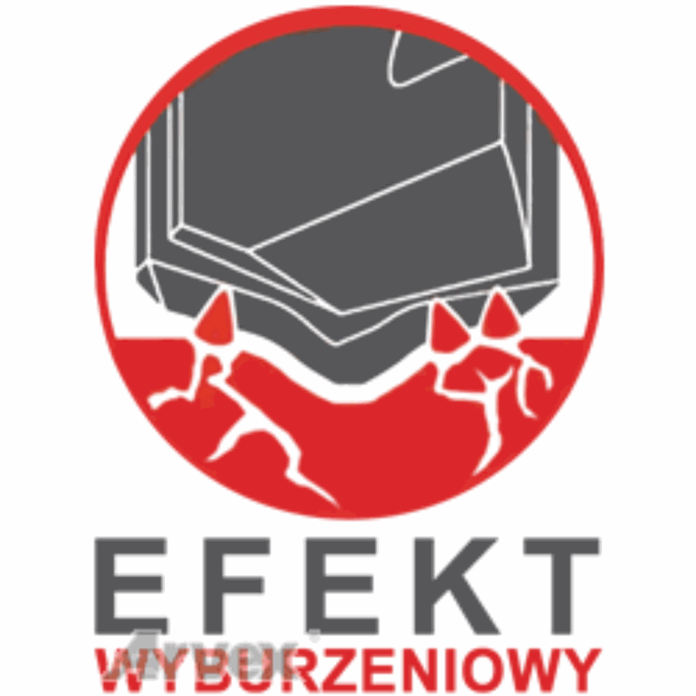 SDS 15/0210 profesjonalne wiertło SDS-Plus z efektem wyburzeniowym 15x210